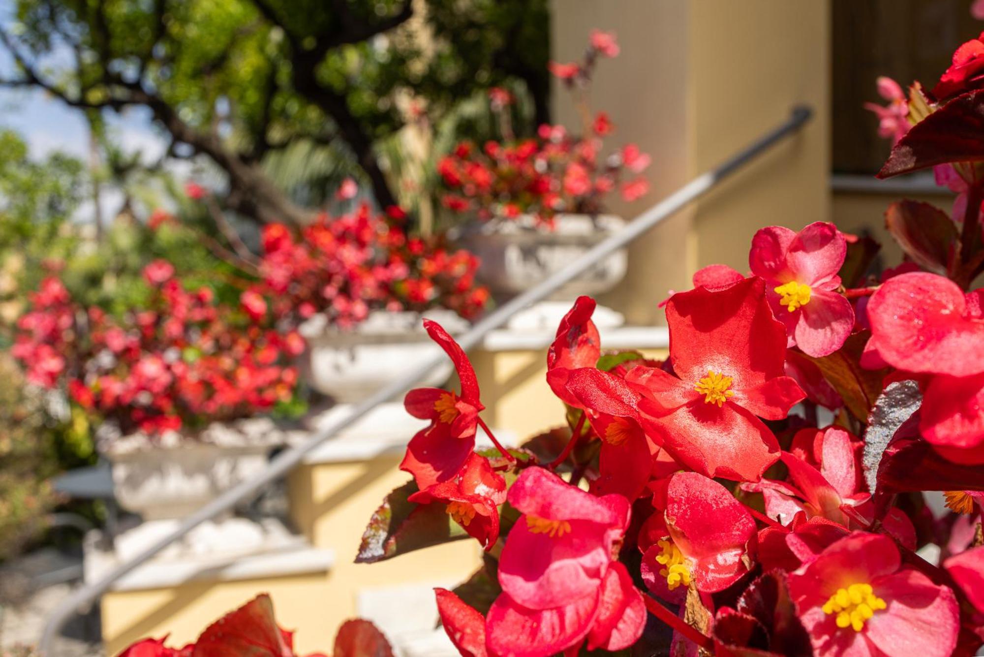 בורדיגרה Hotel Villa Elisa & Spa מראה חיצוני תמונה