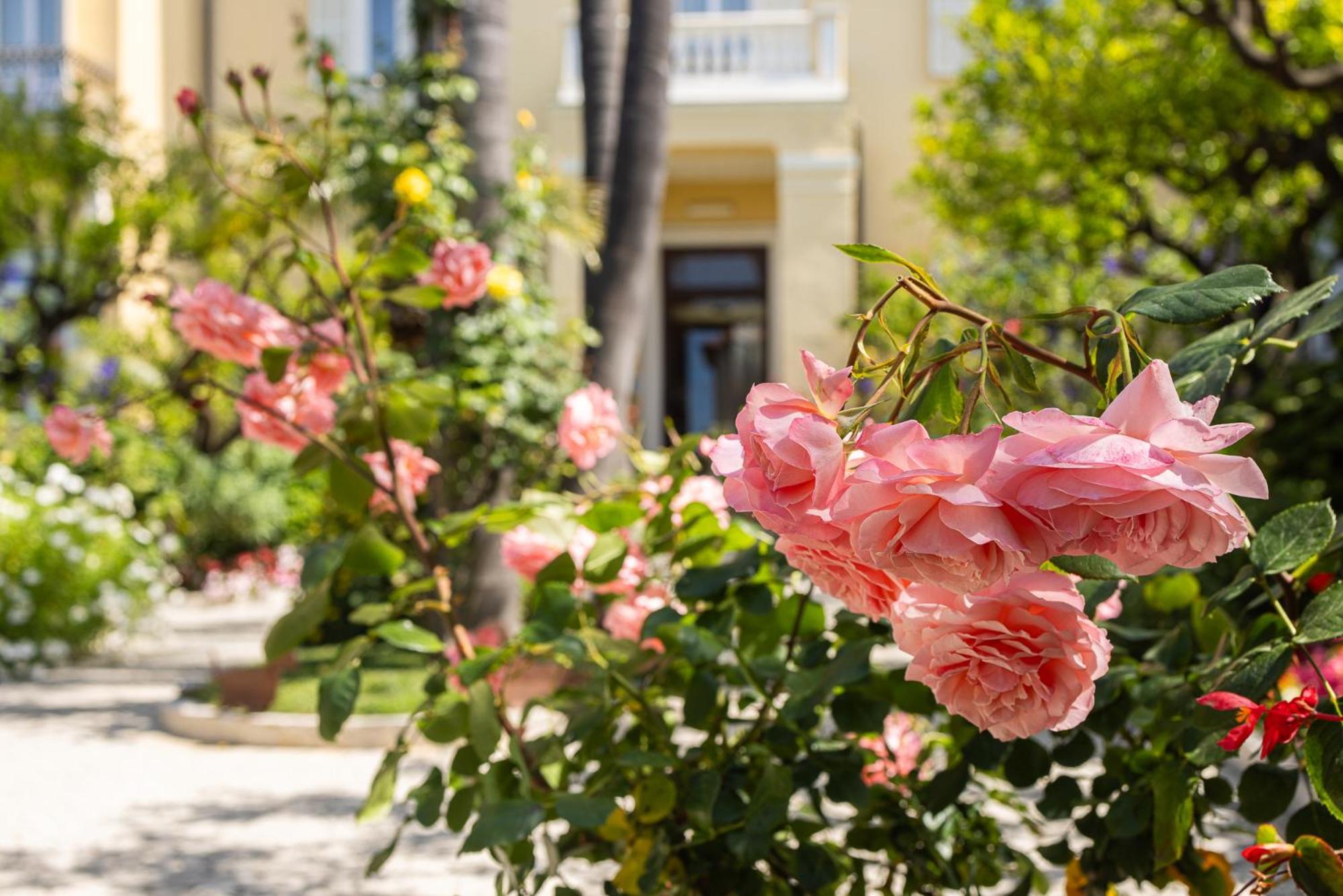 בורדיגרה Hotel Villa Elisa & Spa מראה חיצוני תמונה