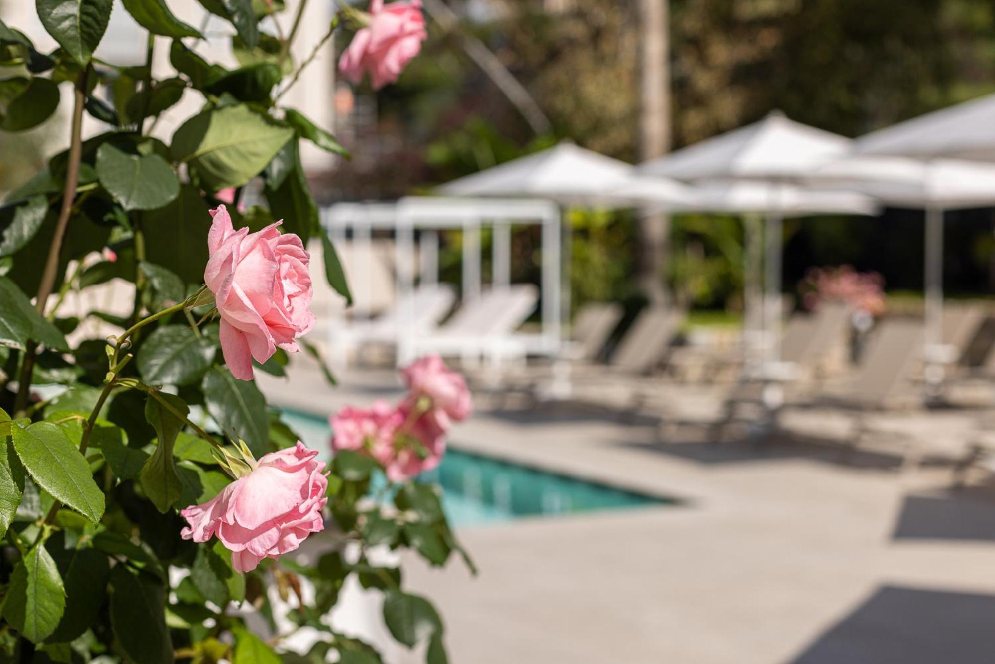 בורדיגרה Hotel Villa Elisa & Spa מראה חיצוני תמונה
