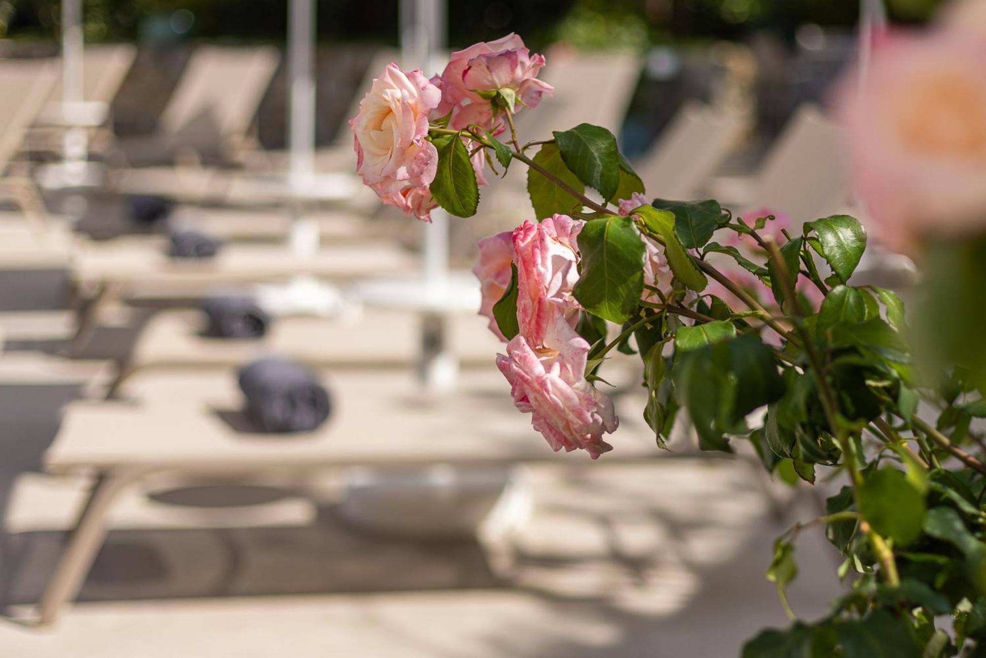 בורדיגרה Hotel Villa Elisa & Spa מראה חיצוני תמונה